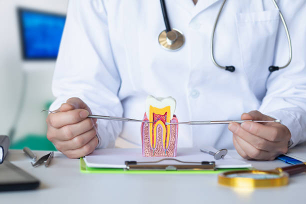 Best Emergency Dental Care for Abscessed Tooth in Salina, OK